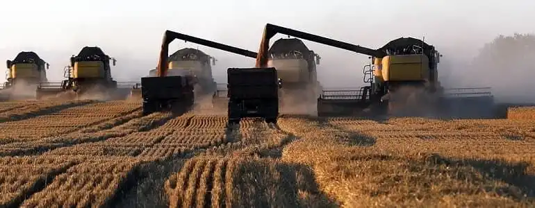 Аграрии Украины намолотили более 24 млн т зерна. Данные по культурам и средней урожайности