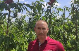 Производитель с левого берега Днестра внедряет новейшие технологии для выращивания фруктов и послеуборочной обработки
