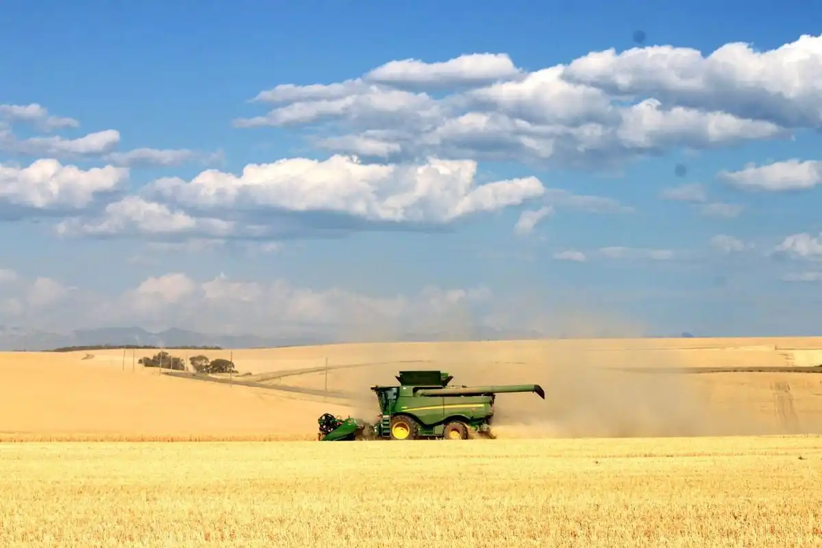 ABARES: Прогноз мировых цен на пшеницу в 2018/19 МГ