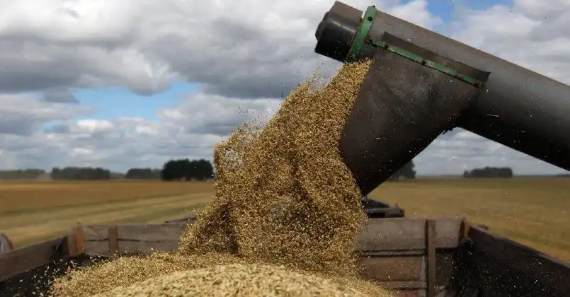 ЕС наращивает экспорт пшеницы