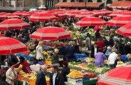 Croația – o piață cu potențial pentru fructele din Moldova
