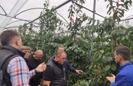 ”Moldova Fruct” a gustat din experiența Asociațiilor de profil horticol din Regatul Țărilor de Jos 