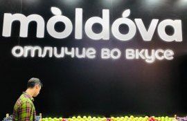 Producătorii de fructe din țară participă la o expoziție la Moscova