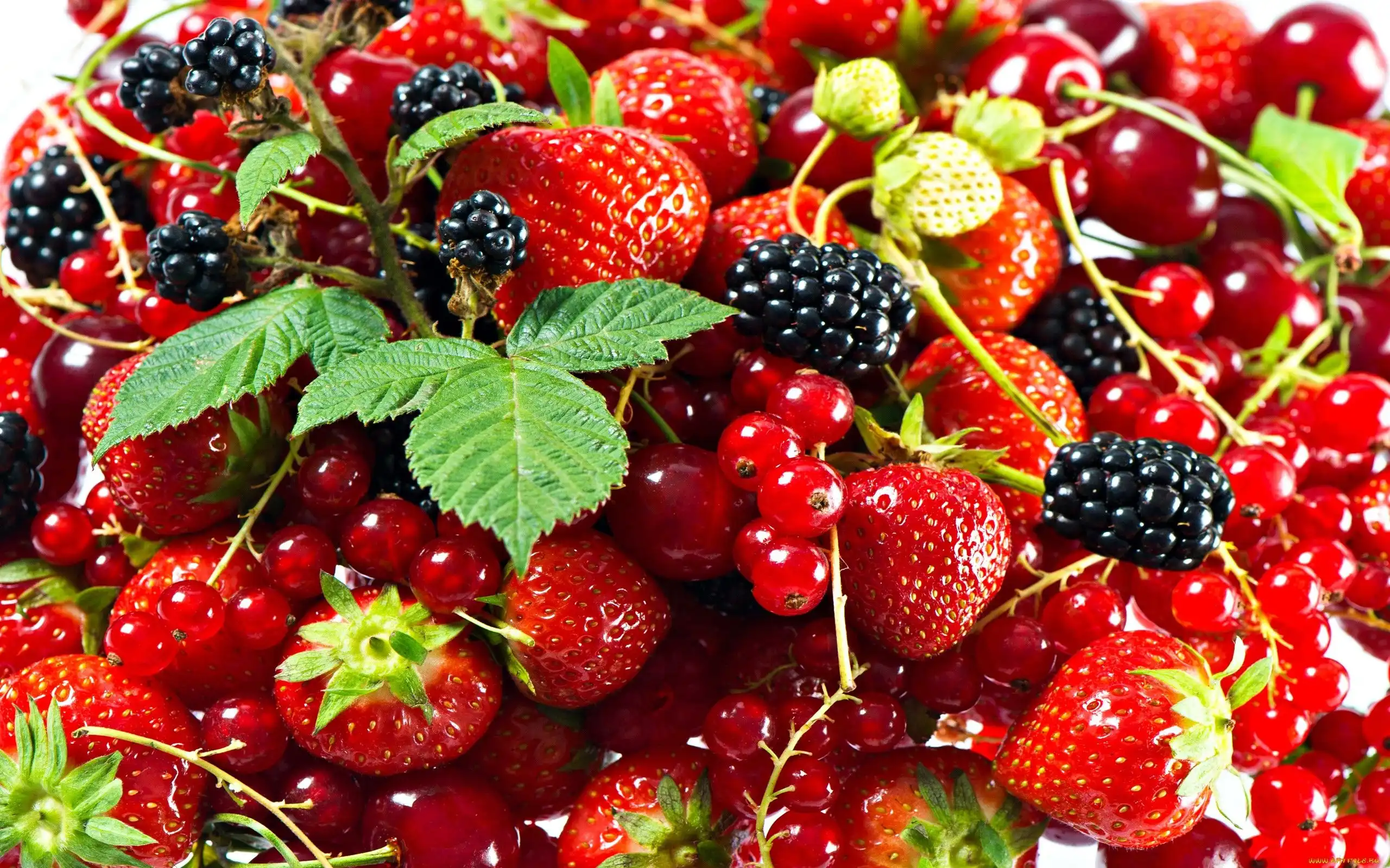 ТОП-10 украинских продуктов с наивысшим экспортным потенциалом