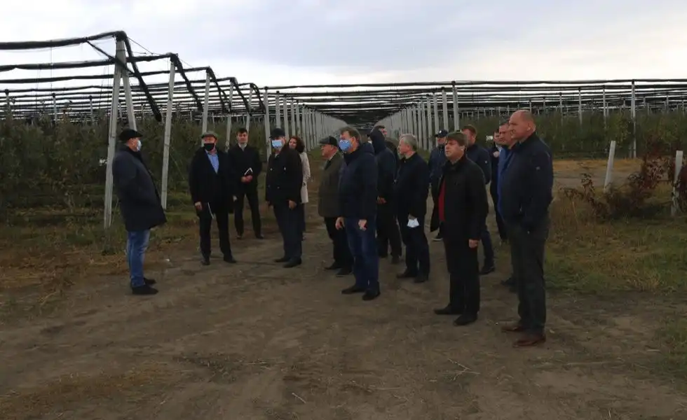 Problemele din sectorul creșterii fructelor discutate cu ministrul agriculturii Viorel Gherciu și reprezentanții AIPA în cadrul Consiliului de administrare a Asociației „Moldova Fruct”
