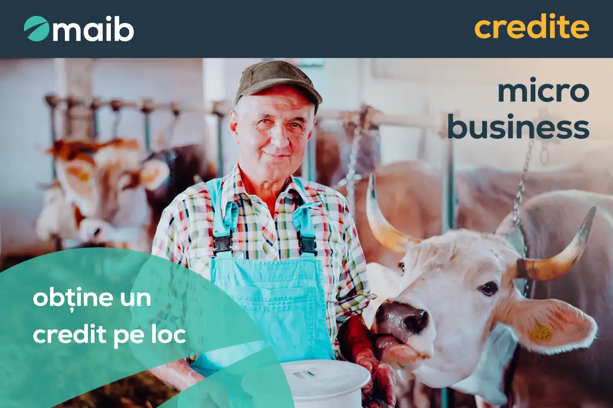 Creditul microbusiness – o nouă posibilitate de dezvoltare a afacerii de la maib