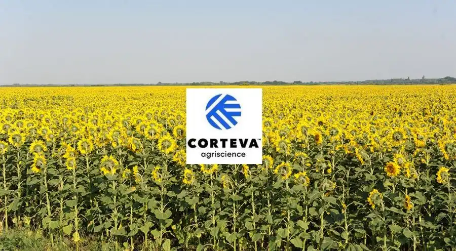 Corteva Agriscience поделилась планами развития инноваций