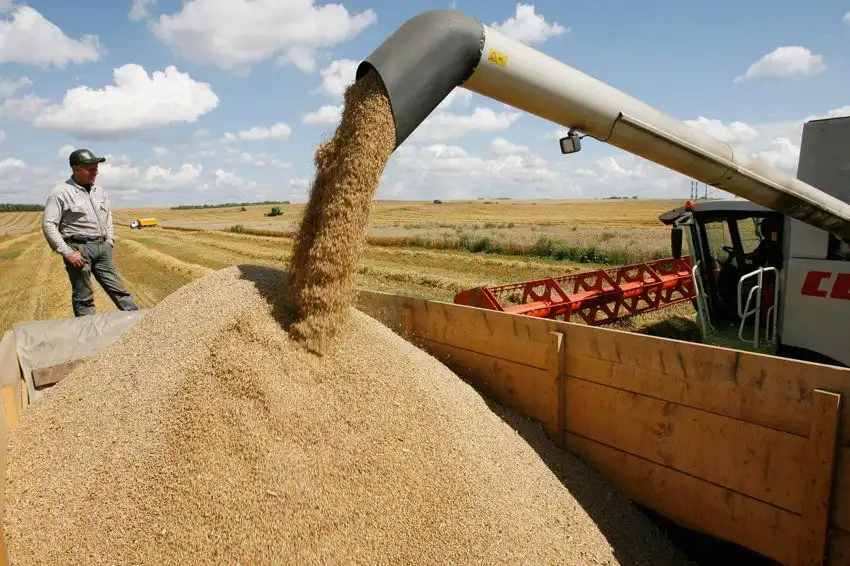 Prețurile cerealelor: piețele scăpate de sub control