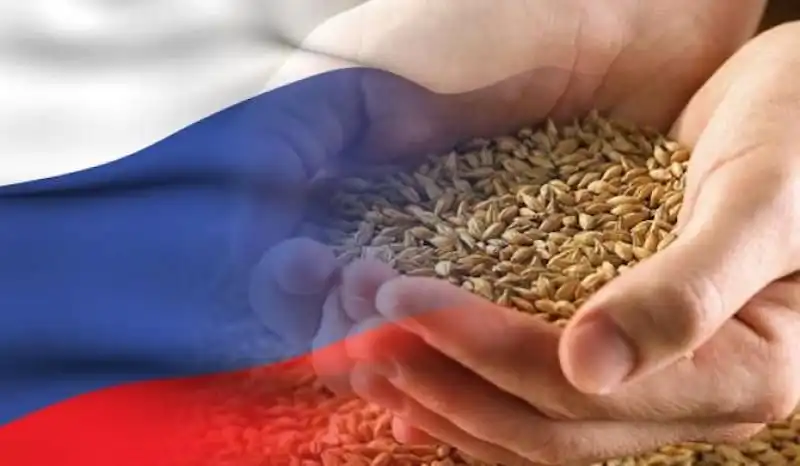 Россия снова продлила пошлины на экспорт зерновых