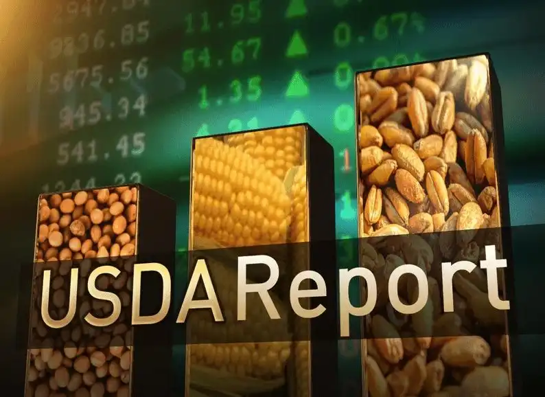 Анализ декабрьского отчета USDA и основные моменты, касающиеся стран Черноморского региона