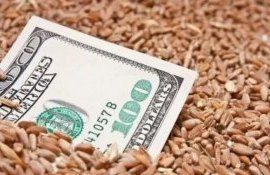 агрострахование в сша