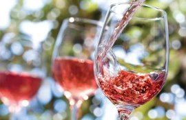 новый сорт винограда меляг