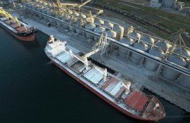 цена пшеницы черноморский регион