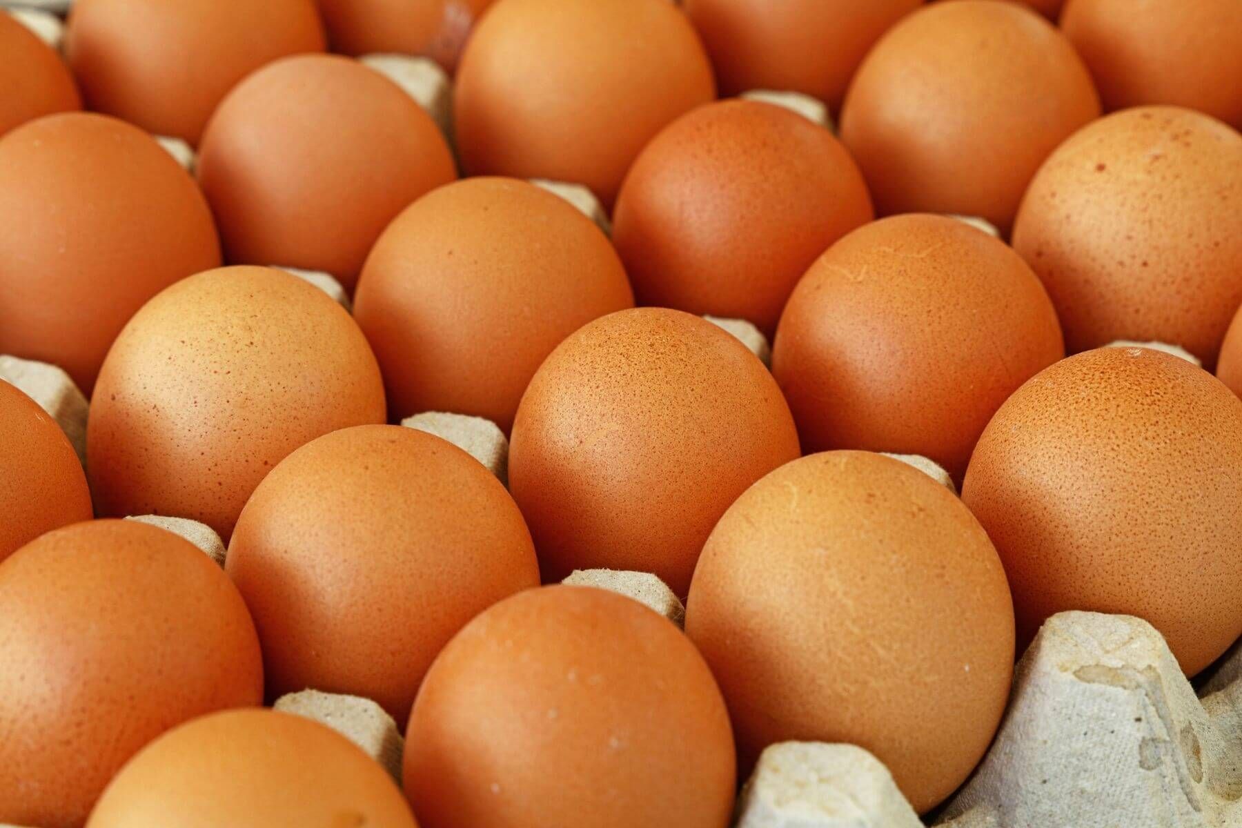 экспорт яиц молдова