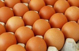 экспорт яиц молдова