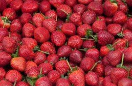 цена на землянику молдова