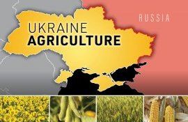 comertul agricol mondial