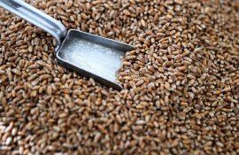 пошлина не зерно