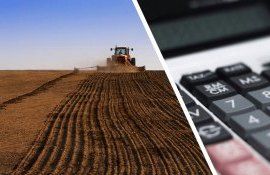 выращивание кукурузы Украина