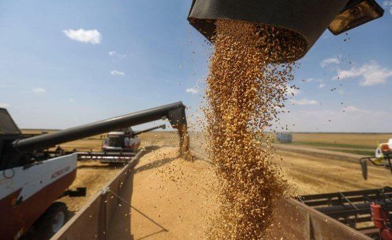 цена на пшеницу черноморский регион