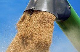 цена на пшеницу Украина - AgroExpert.md