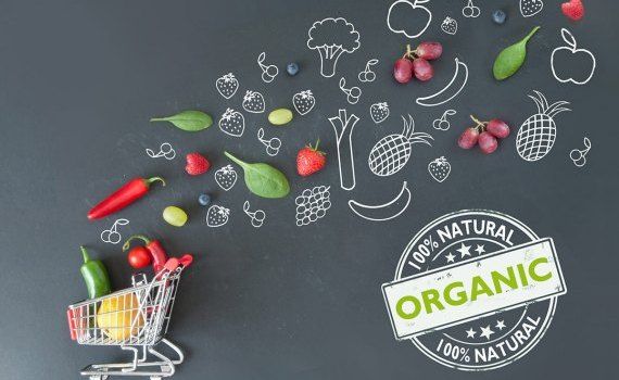 органические продукты - AgroExpert.md