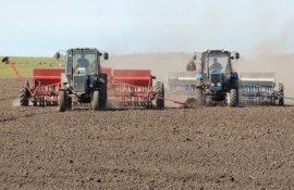 ANSA semințe de culturi de primăvară - AgroExpert.md