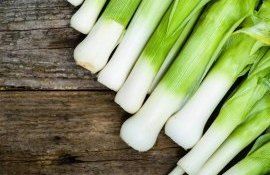 Как вырастить лук-порей - AgroExpert.md