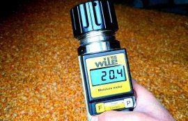 сушка кукурузы молдова - AgroExpert.md