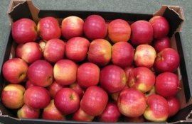 Цена на яблоки айдаред - AgroExpert.md