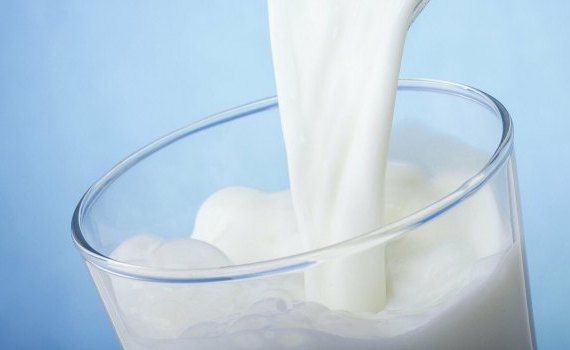 Доходность молока в Украине - AgroExpert.md