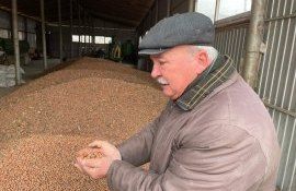 Export alune din Moldova - AgroExpert.md