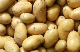 Prețul la cartofi în Moldova - AgroExpert.md