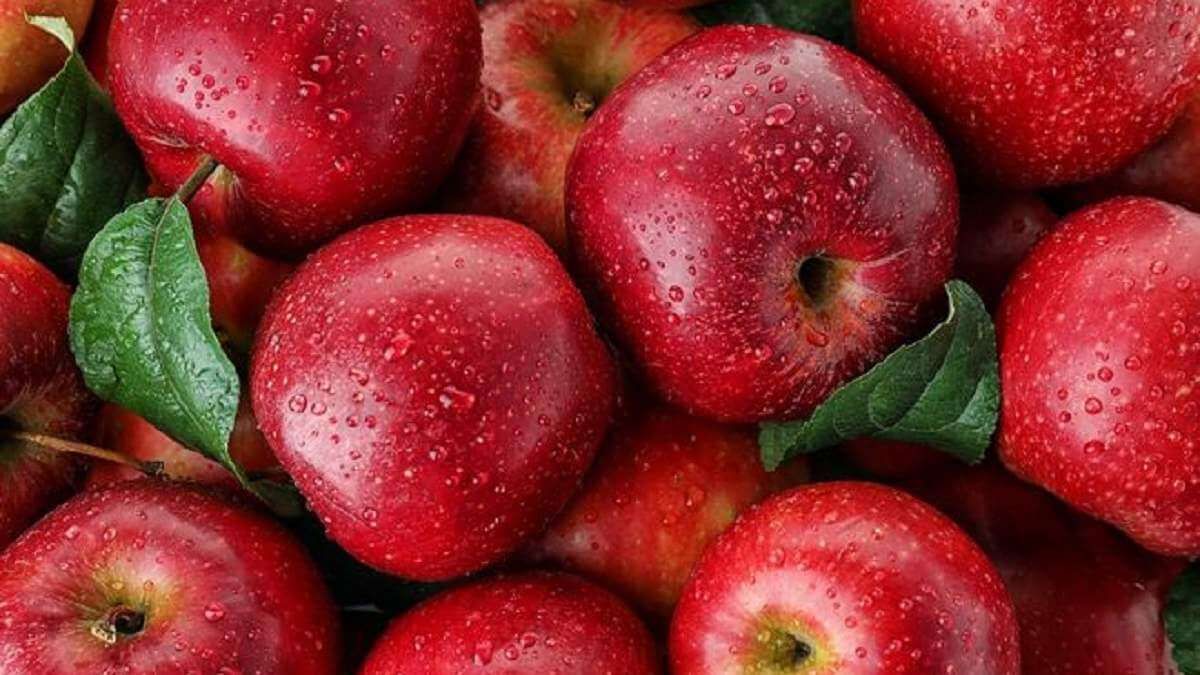 Экспорт яблок из Украины - AgroExpert.md