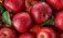 Экспорт яблок из Украины - AgroExpert.md