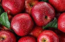 Экспорт яблок из Украины - AgroExpert.md
