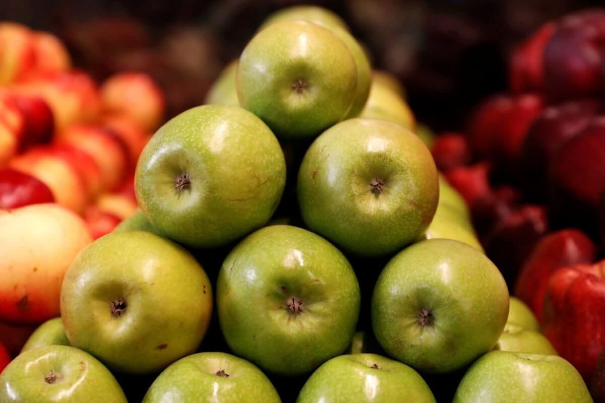 Экспорт яблок из Турции - AgroExpert.md