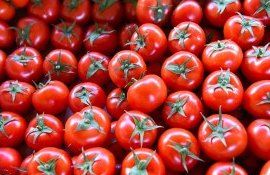 Пошлина на импорт помидор - AgroExpert.md