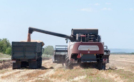 Урожай зерна в России в 2022 году - AgroExpert.md