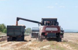 Урожай зерна в России в 2022 году - AgroExpert.md