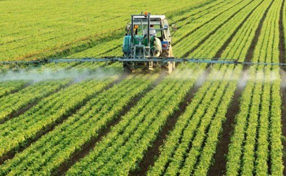 Folosirea pesticidelor în agricultură - AgroExpert.md