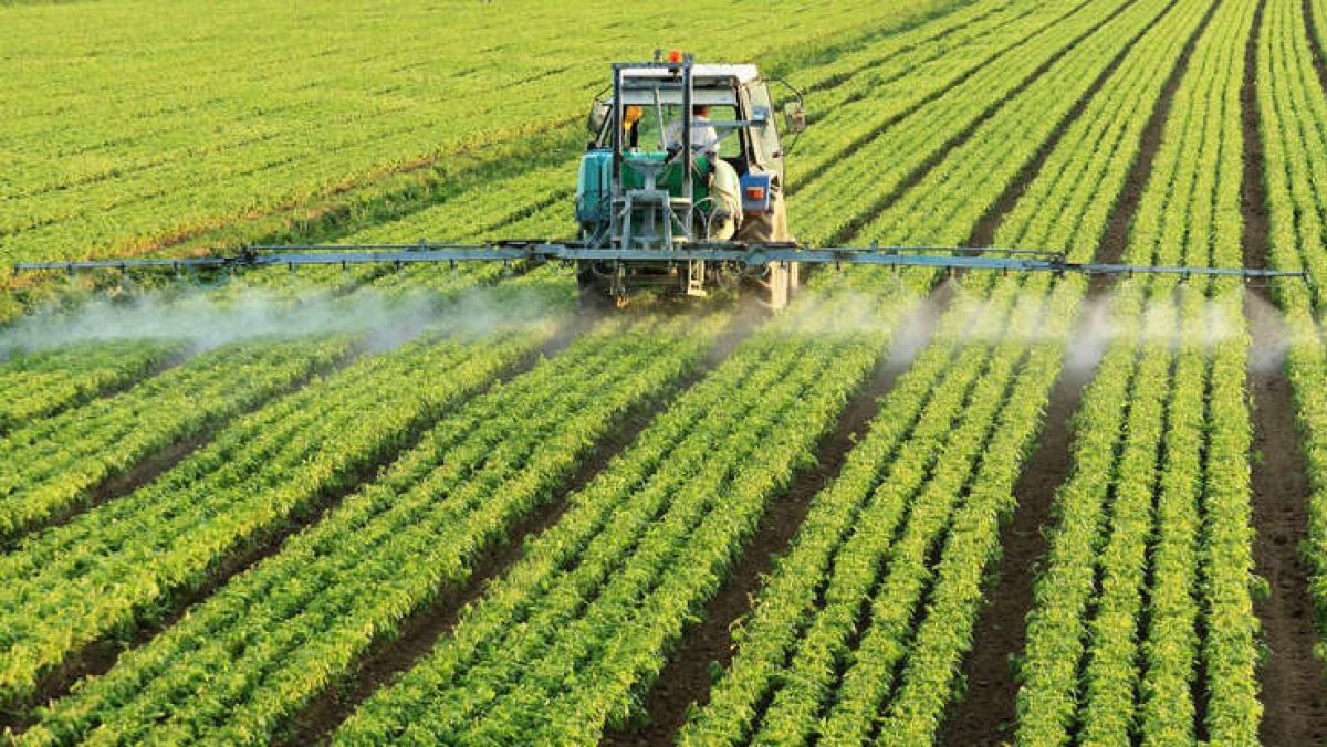 Folosirea pesticidelor în agricultură - AgroExpert.md