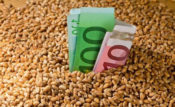 Pret la cereale 2022 - AgroExpert.md