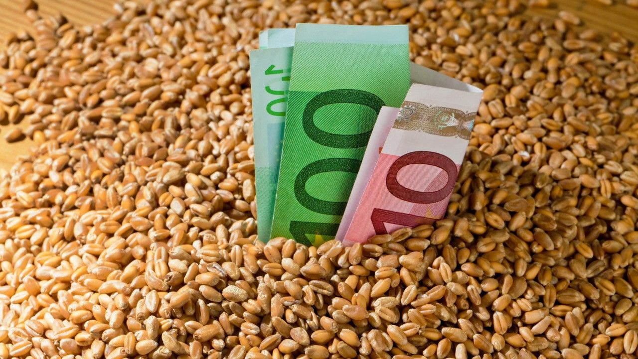 Pret la cereale 2022 - AgroExpert.md