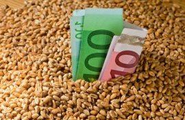 Pret la cereale 2022 - AgroExpert.md