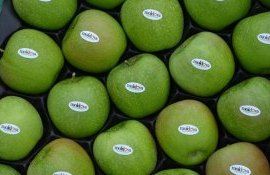 Экспорт фруктов из Молдовы - AgroExpert.md