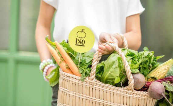 Выращивание и продажа органической продукции в Украине - AgroExpert.md