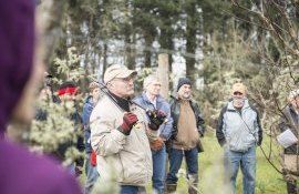 Tăierile la alun - AgroExpert.md