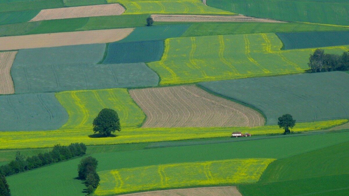 Продажа земли в Украине - AgroExpert.md