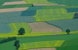 Продажа земли в Украине - AgroExpert.md